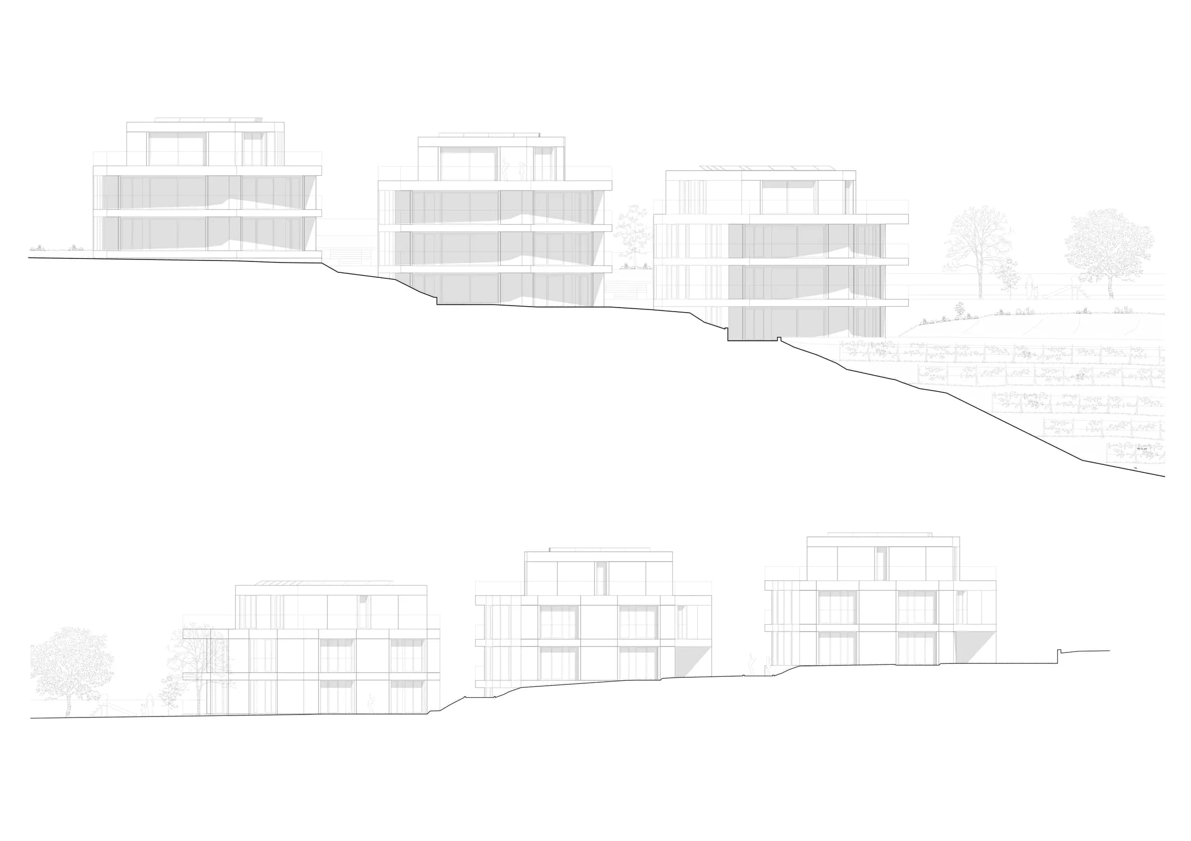 caudoz_elevations