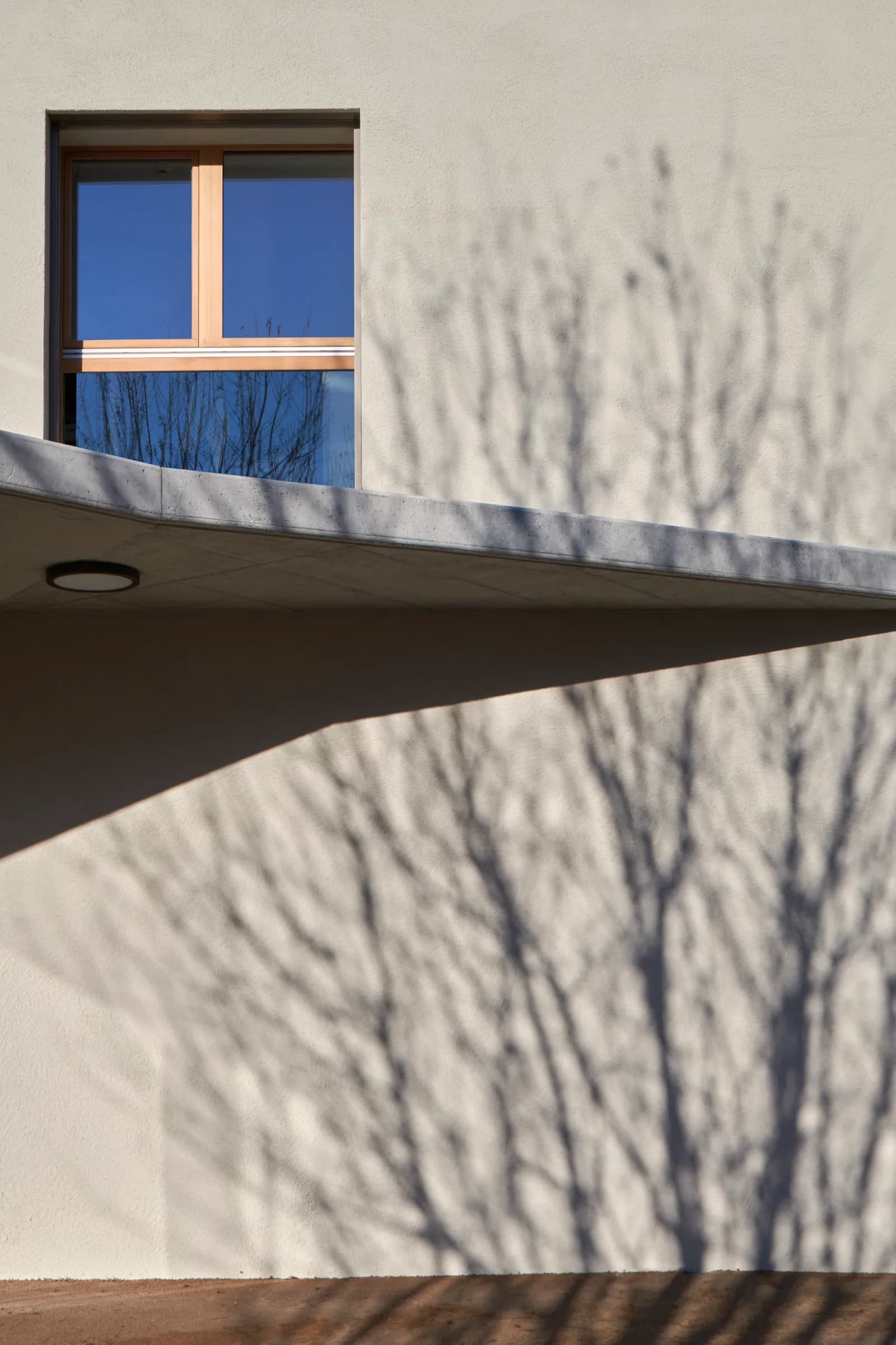 ecogia_Facade ombre